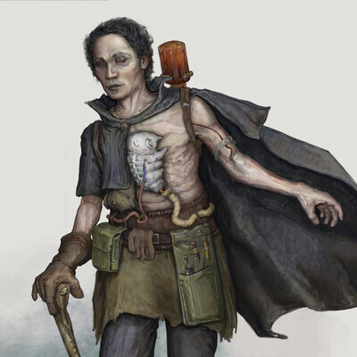 Wanderer