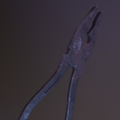 rusty pliers