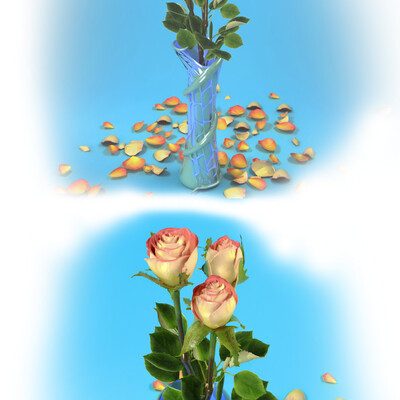 Roses