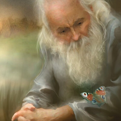 Razgovor s babochkoy