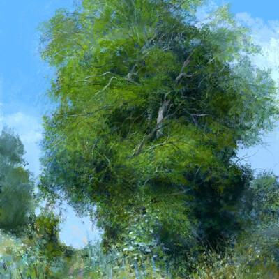 Summer. Bright greenery.