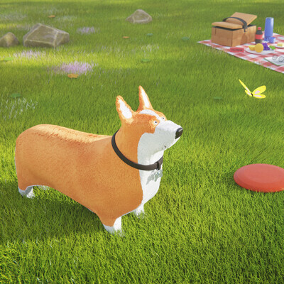 Corgi's summer