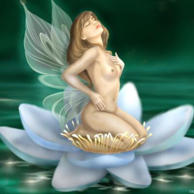 LOTUS