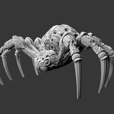 Texor mentis decor spider