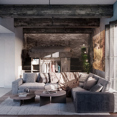 Modern Rustic Loft ,Shadows & Timber