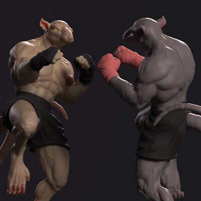 Rat fighter