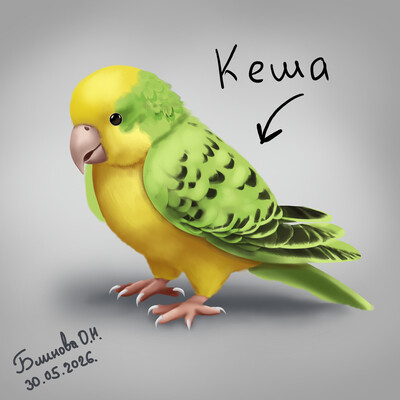Parrot