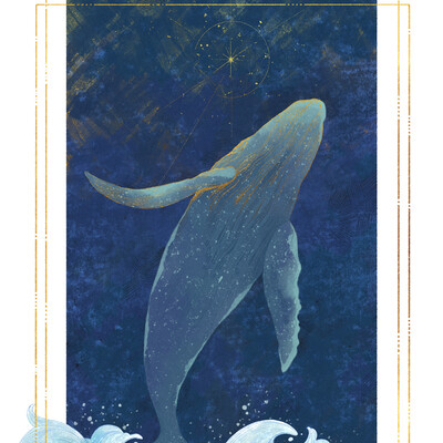 Whale and Dolphin Day