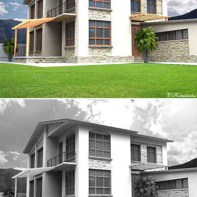The house in village