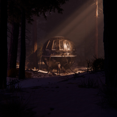 Object in the forest