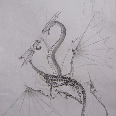 dragons