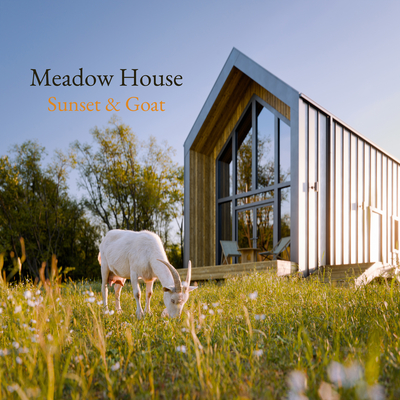 Meadow House. Sunset & Goat