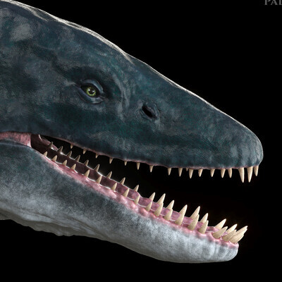 Elasmosaurus