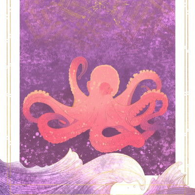 Octopus