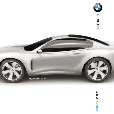 BMW z shark