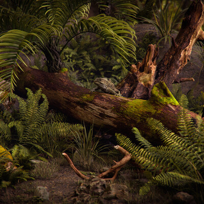 New Zealand Native Forest