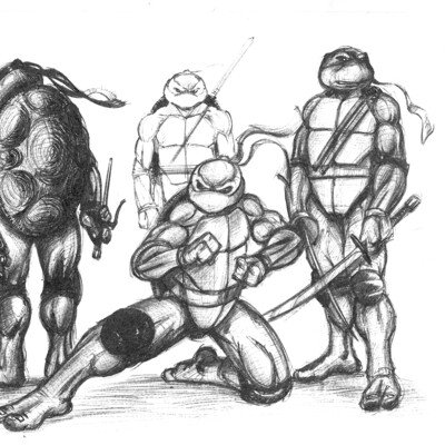 Turtles