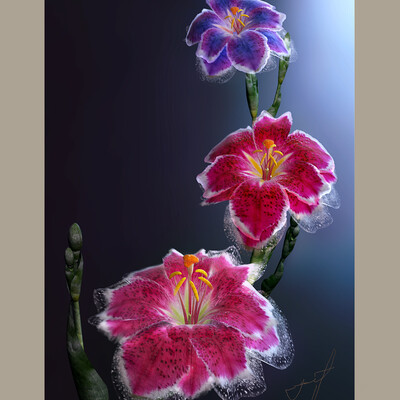 Flower MYSTERY