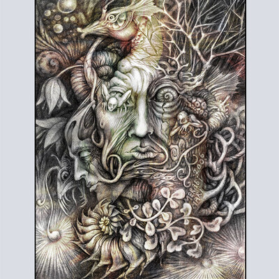Dreamer