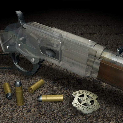 Anatomiya orujiya: "Winchester Model 1876 "