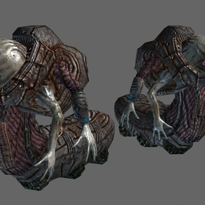 Worm