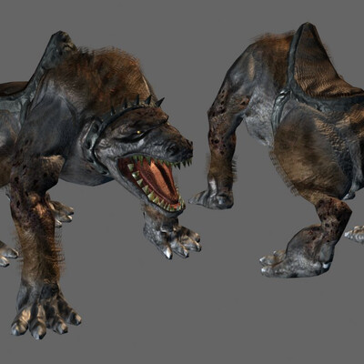 Pet