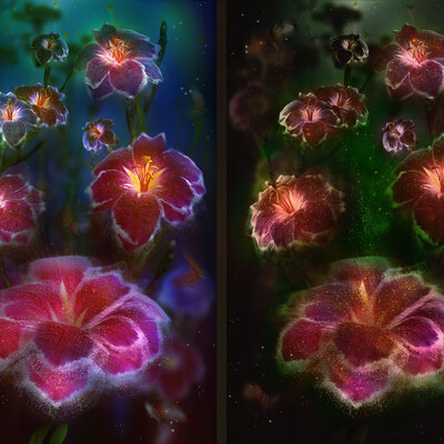 Dark rozes-)