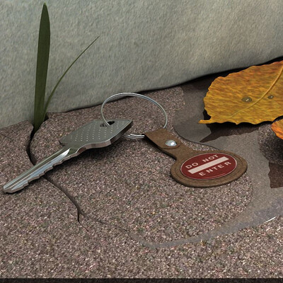 The lost key