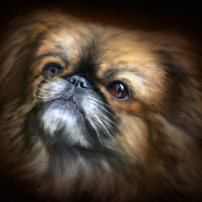 Musya
