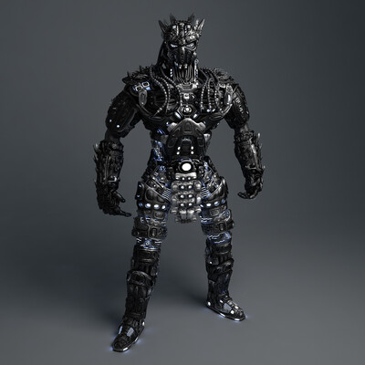 Kiborg FN485