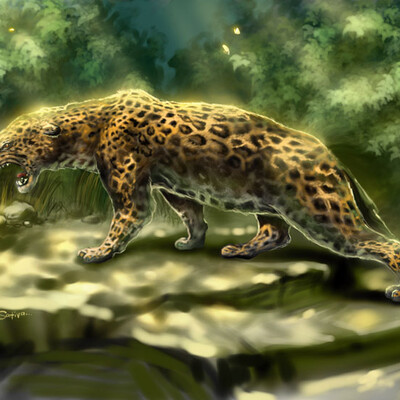 Leopard